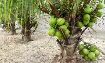 Imagem 6: Casa de praia Casa com 2 dormitórios