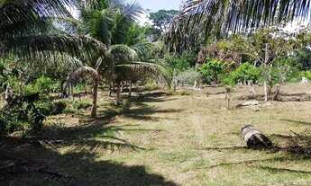 Imagem: Sítio - Excelente oportunidade! Vendo sítio