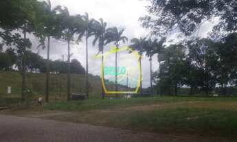 Imagem 3: Vendo terreno 12.000m2 plano no curado