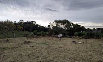 Imagem 2: Terreno em Terra de Areia