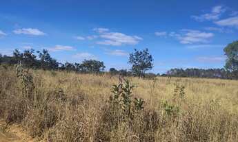 Imagem 5: Fazenda DF Sobradinho
