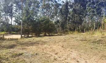 Imagem 3: VENDO TERRENO * LOCAL LINDO