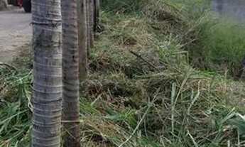 Imagem 2: Terreno no BOM PASTOR ESCRITURADO