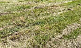 Imagem 2: Lindos sítios na serra