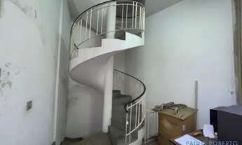 Imagem 4: COMERCIAL - PARAÍSO - SP