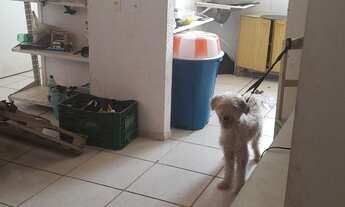 Imagem 3: Aluga se Apartamento com 2 dormitórios