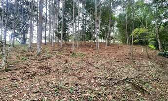 Imagem 6: 14 mil MTS quadrados pé no ribeirao juquitiba