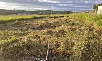Imagem 3: Lote de 250m2 -quitado -Alto da Mata
