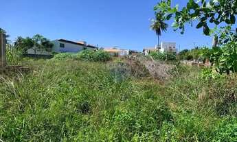 Imagem 7: No Paraíso de Tatuamunha tem umTerreno esperando por você!