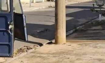 Imagem 4: Vendo terreno na cidade de Monte Alto Aceito Financiamento