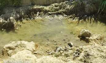 Imagem 4: FAZENDA DE OPORTUNIDADE - 33 ALQUEIRES