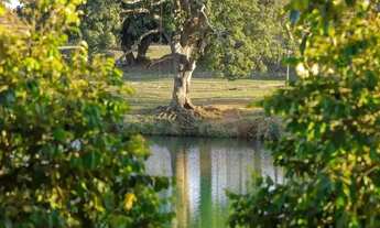 Imagem 5: Loteamento reserva do bosque s/ spc e serasa pronto p/ contruir a partir de 449,00 mensais