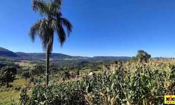 Imagem 4: Sítio / Chácara para Venda em Nova Petrópolis, Nove Colonias