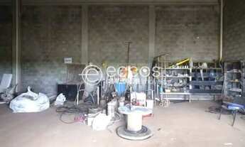 Imagem 3: Imóvel Comercial para aluguel, Segismundo Pereira - Uberlândia/MG