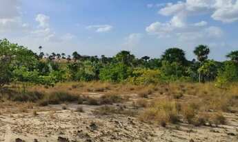 Imagem 7: Banho com igarapé exclusivo