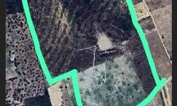 Imagem: Vende-se Área Rural com 17 Hectares - Povoado