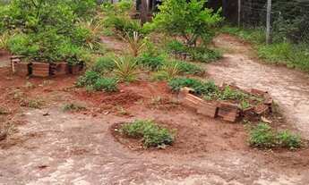 Imagem 7: Chácara a 18 km de Montes Claros