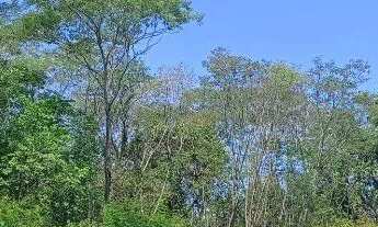 Imagem 2: CHÁCARA SONHO EM CALUGE ITABORAÍ - 3.780m² com CASA + ESCRITURA venda valor 200.000,00