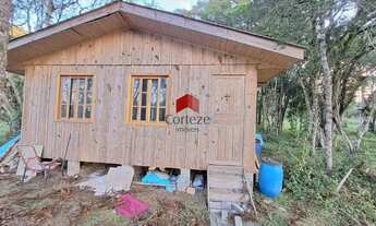 Imagem 4: Terreno com 1.000m² , à venda, no bairro Borda do Campo em São José dos Pinhais