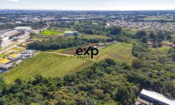 Imagem 5: Terreno Industrial de 12.000 m² - Barro Preto, São José dos Pinhais/PR