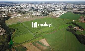 Imagem 2: Terreno para Venda em Cascavel, Brasmadeira