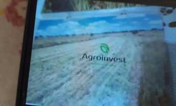 Imagem 7: A&M IMOVEIS VENDE EXELENTE FAZENDA 180HECTARES NA CHAPADA GAUCHA EM BURITIS MG