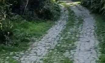 Imagem 4: Casa em condominio/ Ilha de Guaratiba