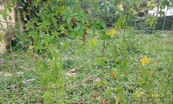 Imagem 5: Terreno à venda, 600 m² por R$ 2.490.000,00 - Praia Brava - Florianópolis/SC