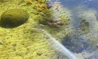 Imagem 7: Imóvel para venda com 60 metros quadrados com 2 quartos em São Francisco - Goiânia - GO