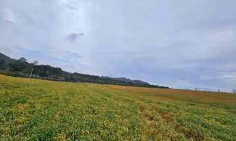 Imagem 7: Chacara com 30.000m² em Campo Magro Ideal para Plantio ou Lazer