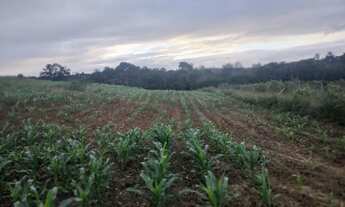 Imagem 2: Vende-se tar Terreno / lote com venda por R$120.000