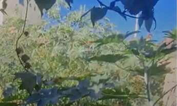 Imagem 5: Lote com 200m² no Bairro Gávea II em Vespasiano Murado