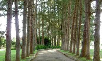 Imagem 4: Fazenda em Rua São Nicolau - Vila Imperial - Gravataí/RS