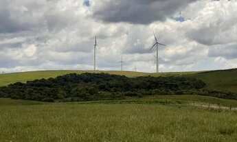 Imagem: 138 alqueires em SC