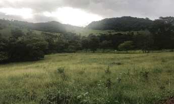 Imagem 6: Chácara 1 alqueiro e 40 litros a 2 km da cidade bem localizado