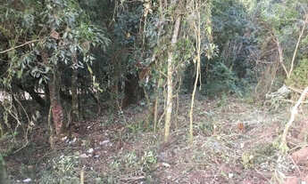 Imagem 2: Terreno à Venda no Capivari - Campos do Jordão/SP