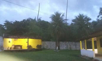 Imagem: Chacara no Pau Deitado Atras do Frango Americano