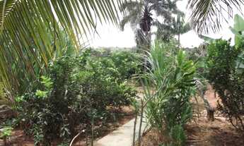 Imagem 5: Linda fazendinha de 24 mil metros,Jaboticatubas (Temos varias opções)