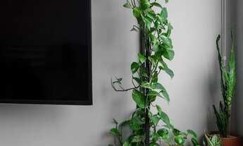 Imagem 7: Apartamento com dois quartos em Camaragibe, Sol dos Camarás Tenda Wr