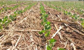 Imagem 5: Fazenda a venda tem 413 metros quadrados em Lima Azevedo - Londrina - PR