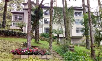 Imagem 2: GRAMADO - Padrão - Planalto