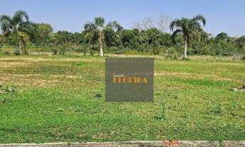 Imagem 3: Terreno - Canasvieiras