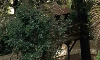 Imagem 4: Sitio com pomar e localização excelente