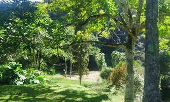 Imagem 3: 6,7 hectares casarão 4 dorm 337 mil reais