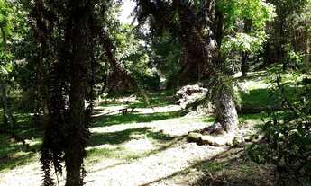 Imagem 6: Área à venda no bairro Caracol - Canela/RS