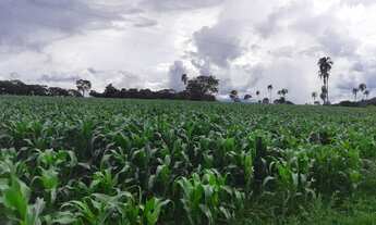 Imagem 14: Senador Canêdo - Fazenda - Área Rural de Senador Canedo