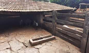 Imagem 9: Senador Canêdo - Fazenda - Área Rural de Senador Canedo