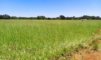 Imagem: Chacara em Guapo 15 mil de entrada a 35