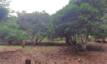 Imagem 8: Senador Canêdo - Fazenda - Área Rural de Senador Canedo