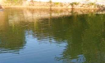 Imagem: Chácara para venda no Incra 9 - DF